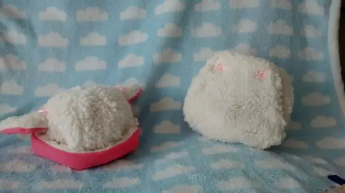 Newborn ovelhinha