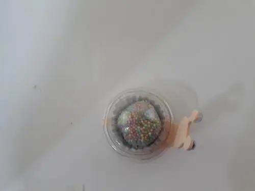 Forminha Caracol com porta brigadeiro descartável - 24 unid