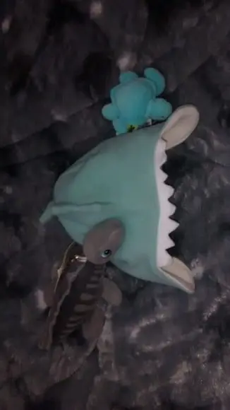Touca infantil com tapa orelhas Jacaré dinossauro