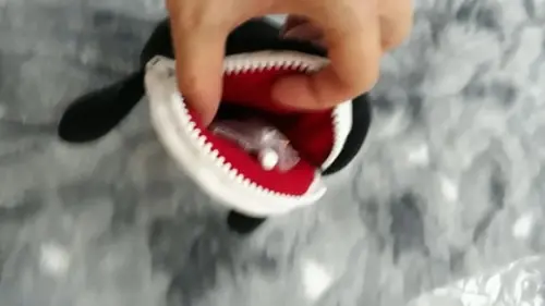 Estojo baleia e orca