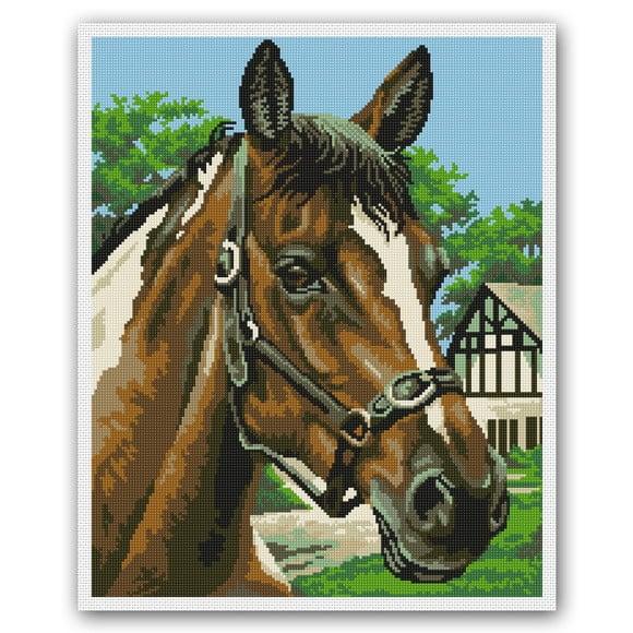 Cavalo Malhado - Gráfico Ponto Cruz
