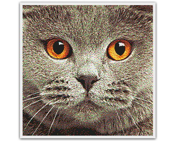 Gato - Apenas 6 Cores - Gráfico Ponto Cruz