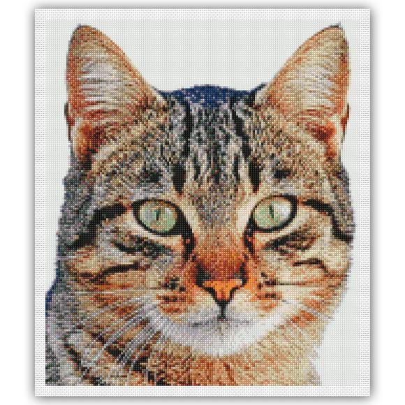 Gato Malhado - Gráfico Ponto Cruz