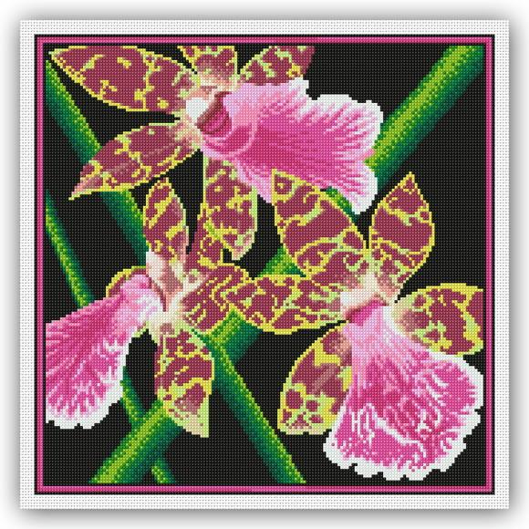 Orquídeas - Gráfico Ponto Cruz