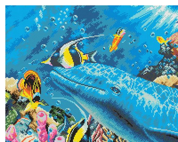 Paraíso dos Golfinhos - Gráfico Ponto Cruz