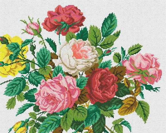 Rosas Diversas - Gráfico Ponto Cruz