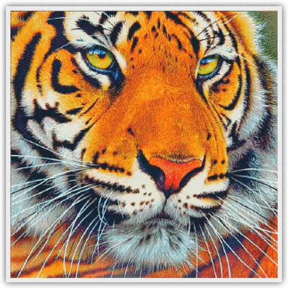 Tigre - Gráfico Ponto Cruz