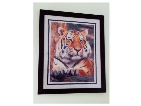 Tigre de Bengala - Gráfico Ponto Cruz