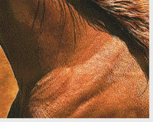 Cavalo - Gráfico de Ponto Cruz