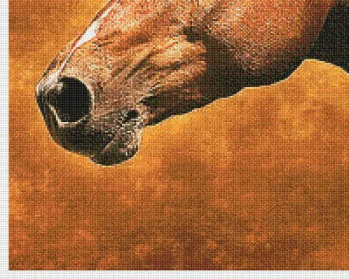 Cavalo - Gráfico de Ponto Cruz