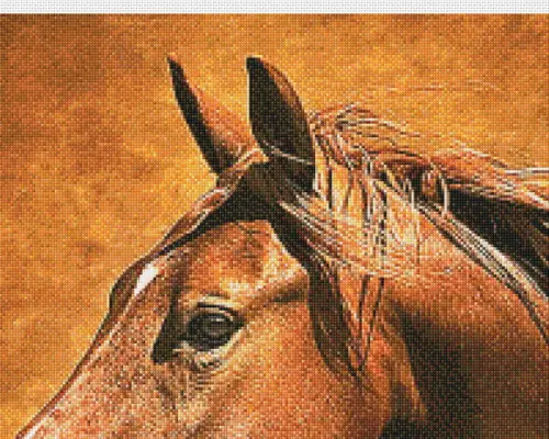 Cavalo - Gráfico de Ponto Cruz