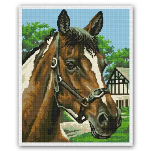 Cavalo Malhado - Gráfico Ponto Cruz