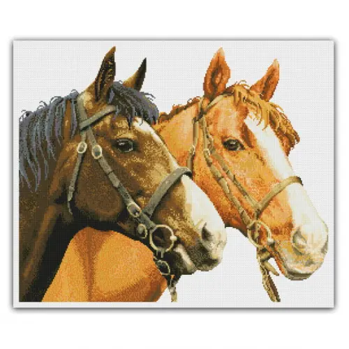 Cavalos - Gráfico Ponto Cruz