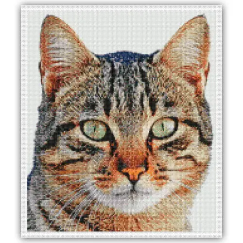Gato Malhado - Gráfico Ponto Cruz