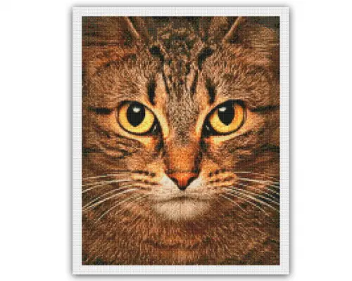 Gato Malhado #t1 - Gráfico Ponto Cruz
