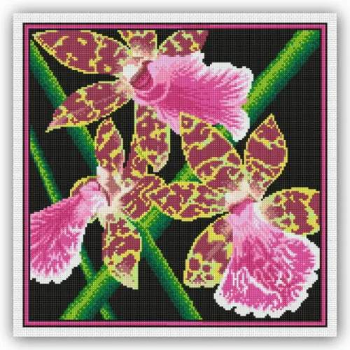 Orquídeas - Gráfico Ponto Cruz
