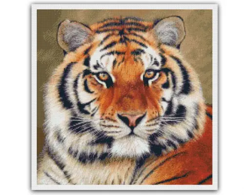 Tigre - Gráfico Ponto Cruz