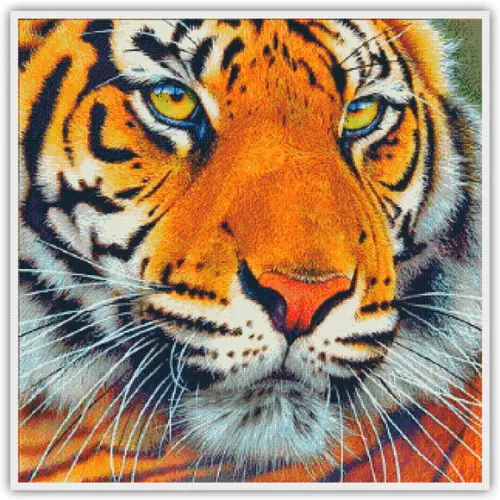 Tigre - Gráfico Ponto Cruz