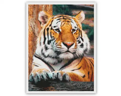 Tigre de Bengala - Gráfico Ponto Cruz