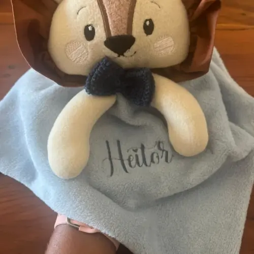 Naninha Leãozinho