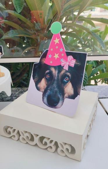 Kit Festa Aniversário Pet Personalizado