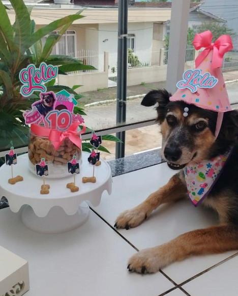 Kit Festa Aniversário Pet Personalizado
