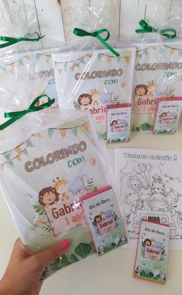 Kit Safari Baby Sacolinha, Livro Colorir, Rótulo Suculentas