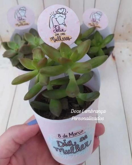 Rótulo + Tag para Mini Suculentas Dia da Mulher