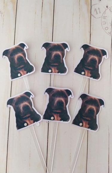 Topper para Docinhos Pet Cachorro com Foto
