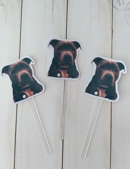 Topper para Docinhos Pet Cachorro com Foto