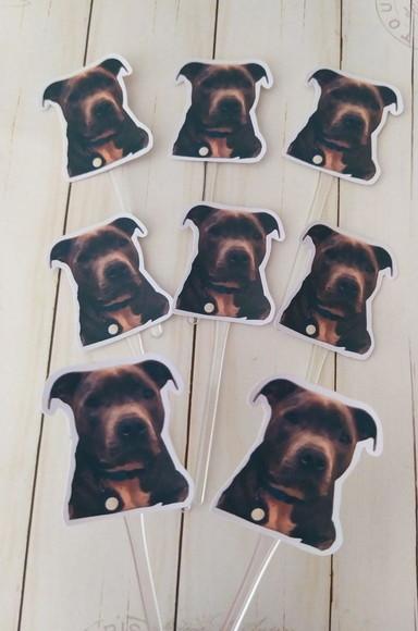 Topper para Docinhos Pet Cachorro com Foto