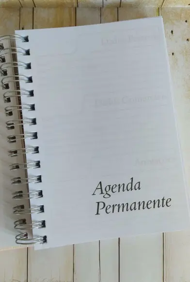Agenda Escolar com Capa Personalizada Sonic