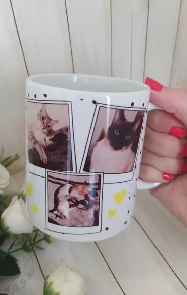 Caneca Porcelana Mãe De Gato/mãe De Pet Com Foto