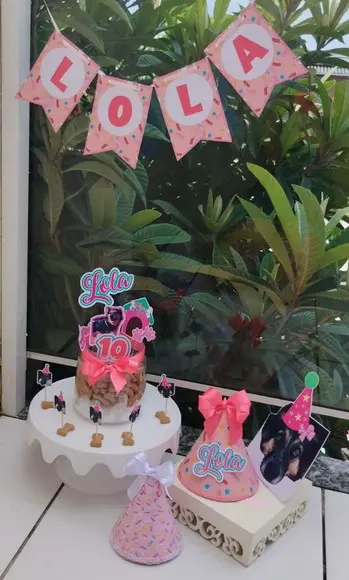 Kit Festa Aniversário Pet com 2 Chapeuzinhos Personalizados