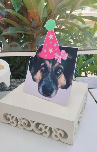 Kit Festa Aniversário Pet Personalizado