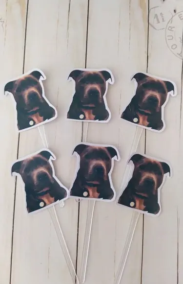 Topper para Docinhos Pet Cachorro com Foto