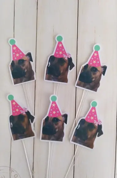 Topper para Docinhos Pet Cachorro com Foto e Chapeuzinho