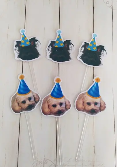 Topper para Docinhos Pet Cachorro com Foto e Chapeuzinho