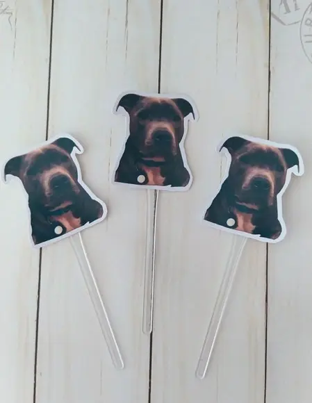 Topper para Docinhos Pet Cachorro com Foto