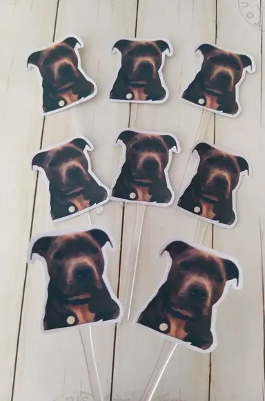 Topper para Docinhos Pet Cachorro com Foto