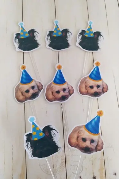 Topper para Docinhos Pet Cachorro com Foto e Chapeuzinho