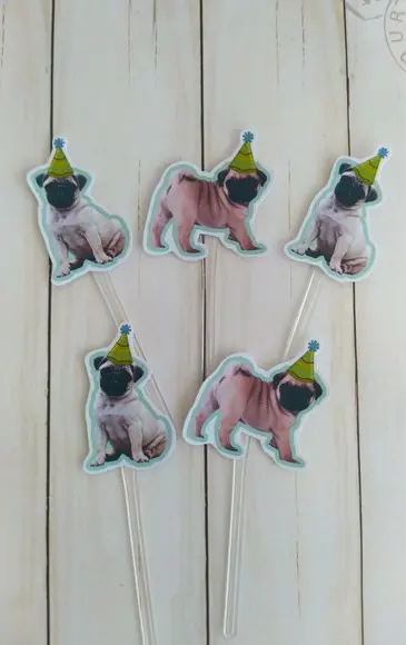 Topper para Docinhos Pet Cachorro com Foto e Chapeuzinho