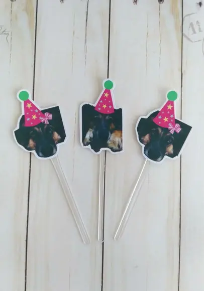 Topper para Docinhos Pet Cachorro com Foto e Chapeuzinho