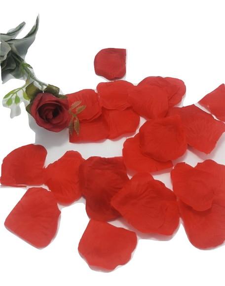 1000 Pétalas de Rosas Vermelhas Pronta Entrega