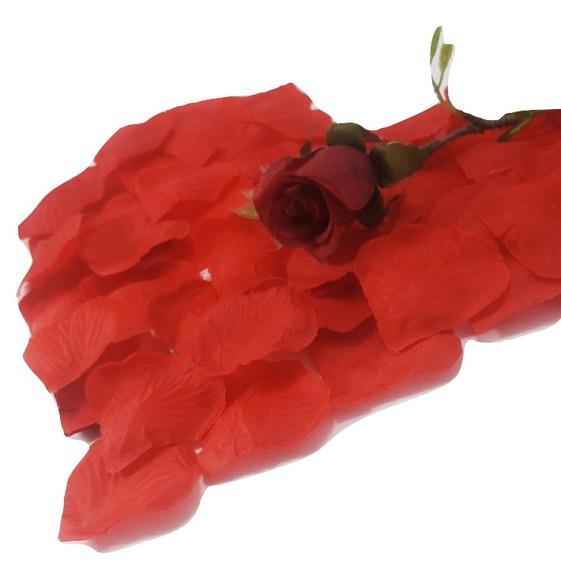 1000 Pétalas de Rosas Vermelhas Pronta Entrega