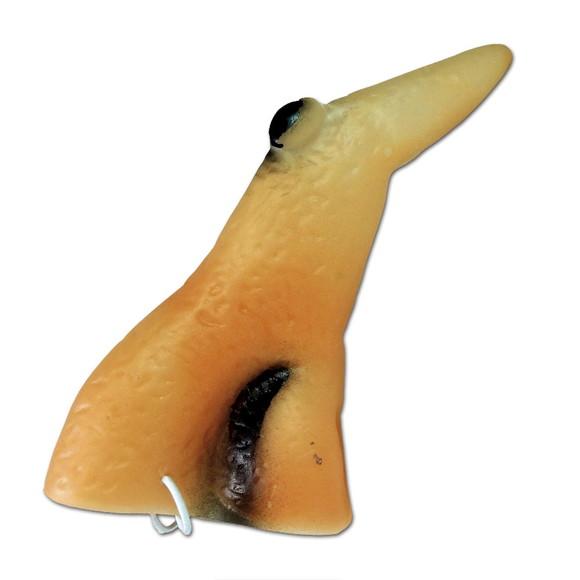 NARIZ DE BRUXA