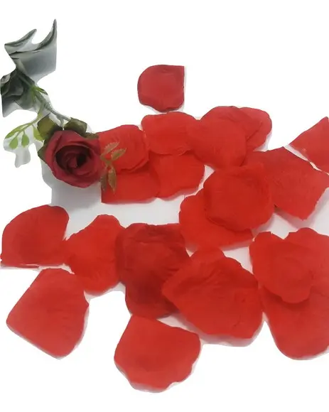 1000 Pétalas de Rosas Vermelhas Pronta Entrega