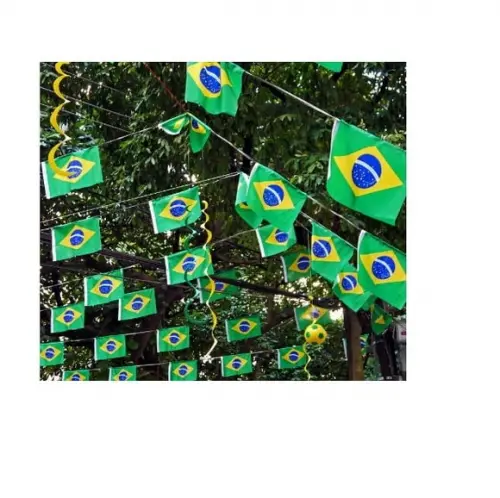 Varal Bandeirinhas Do Brasil Decoração Copa Seleção 10m