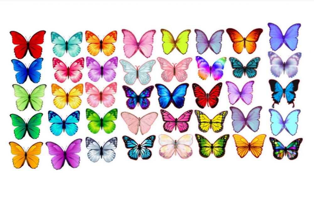 Arquivo de Corte Topo de Bolo - Borboletas