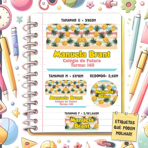 Kit Etiquetas Escolares Abacaxi - 79 Unidades